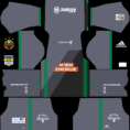 /album/fotogalerie-uber-uns/rapid-kit-fcb-png/